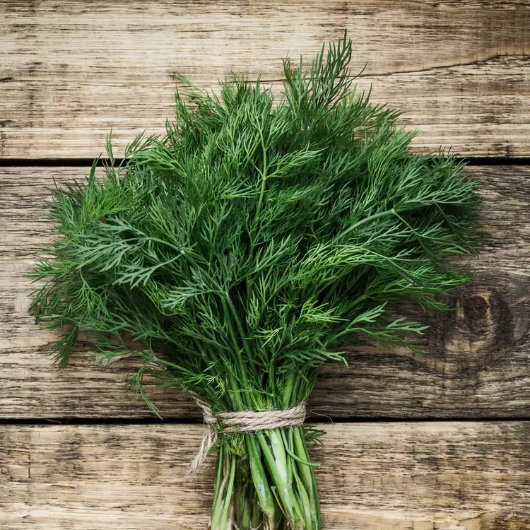 Ce planta poate preveni cancerul? Are proprietati miraculoase: elimina pietrele de la rinichi si trateaza bolile de inima
