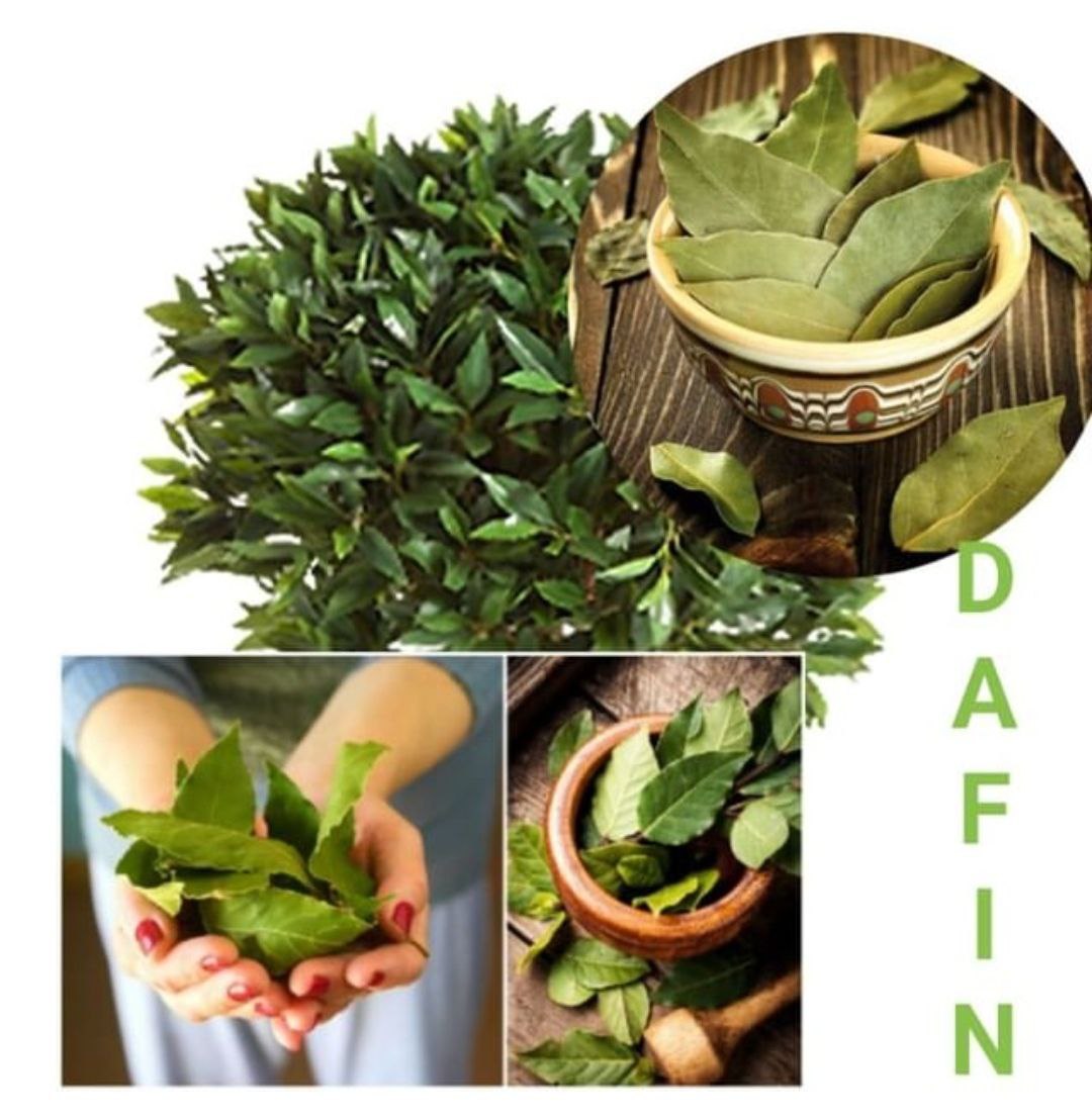 !!!? Ştii de ce se adaugă frunze de dafin în mâncare? De regulă, se răspunde: - să aromatizeze mânca