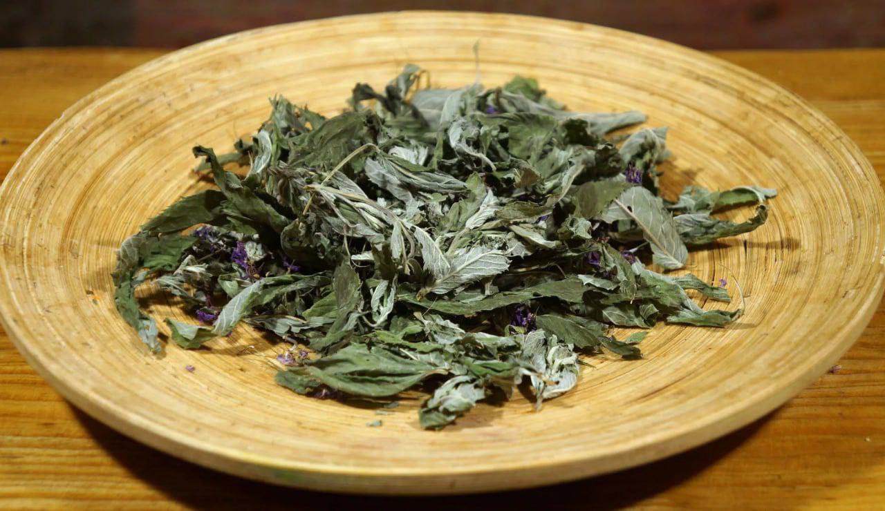 Menta este o plantă foarte iubită