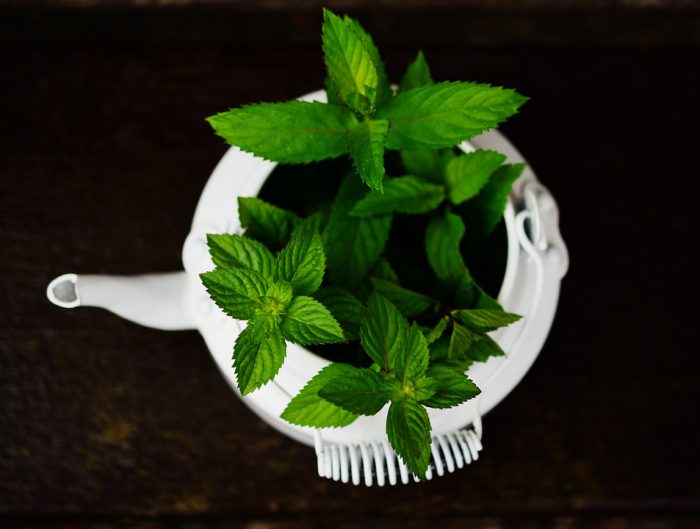 Planta care îți taie pofta de mâncare. Ar trebui să fie nelipsită din casă