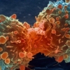 Atentie, romani! Ce se poate intampla daca bei apa de la robinet! Specialistii avertizeaza: "CANCER!"
