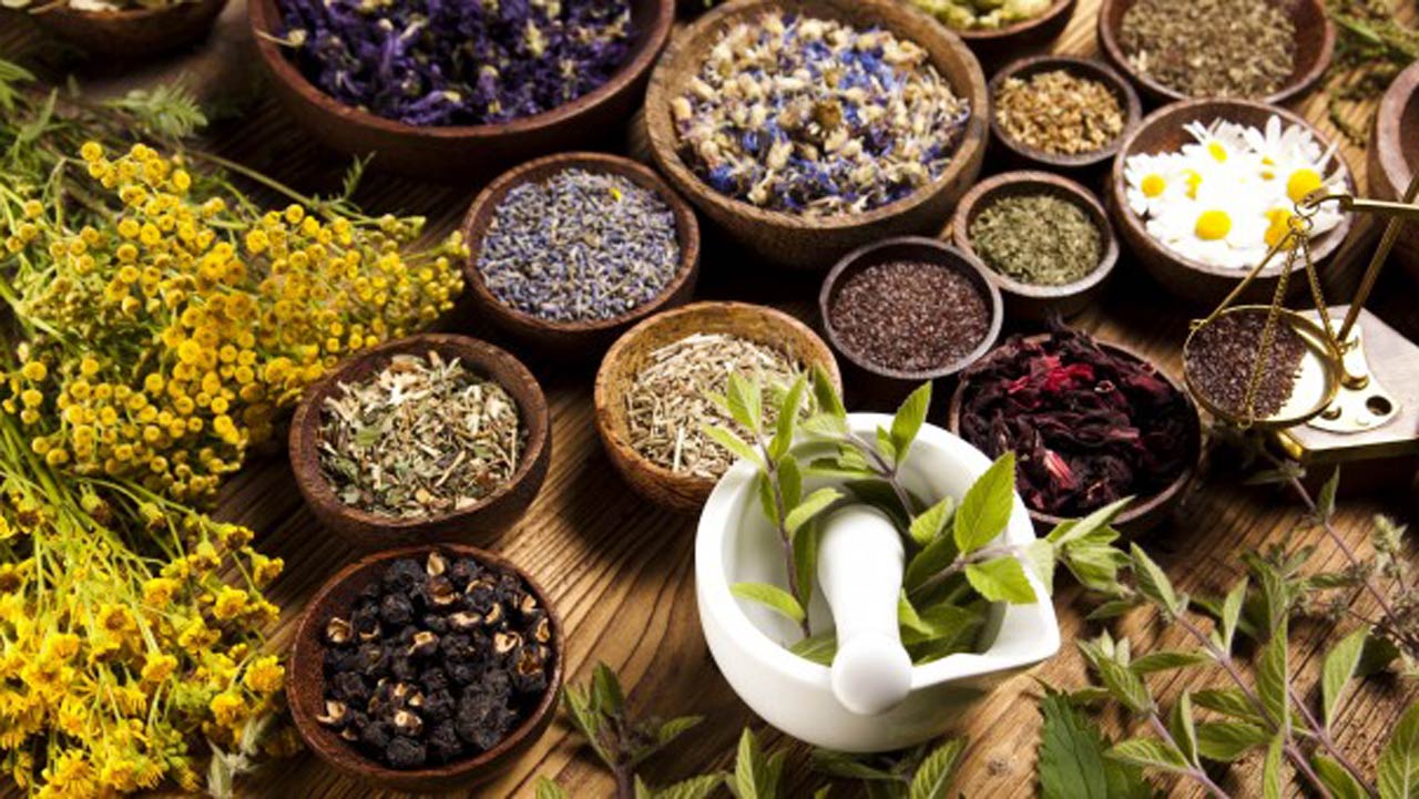 Cateva plante medicinale ce se recomanda pentru leucemie