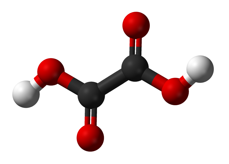 Lista alimentelor ce contin acid oxalic