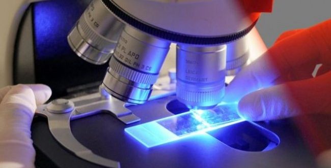 Cercetătorii au descoperit tratamentul-minune care omoară orice fel de tumoră canceroasă