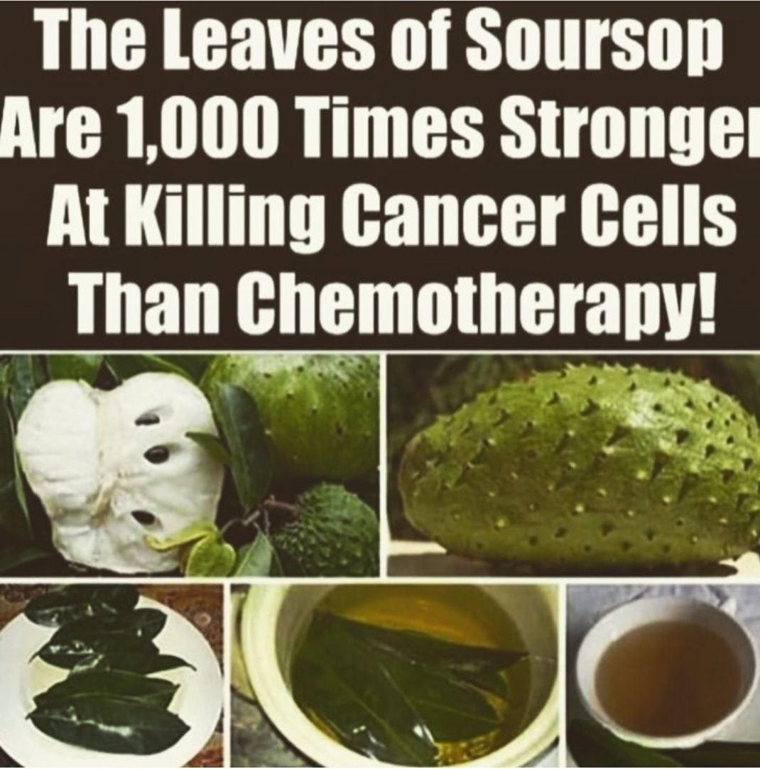 Știai asta despre soursop?