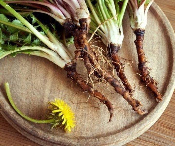 Planta medicinala ce ucide cancerul