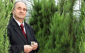 Cancerul este o ciupercă şi poate fi vindecat