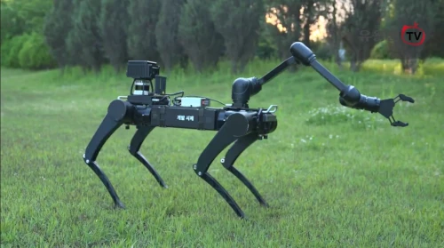 Armata coreeană a început testarea unui câine robot