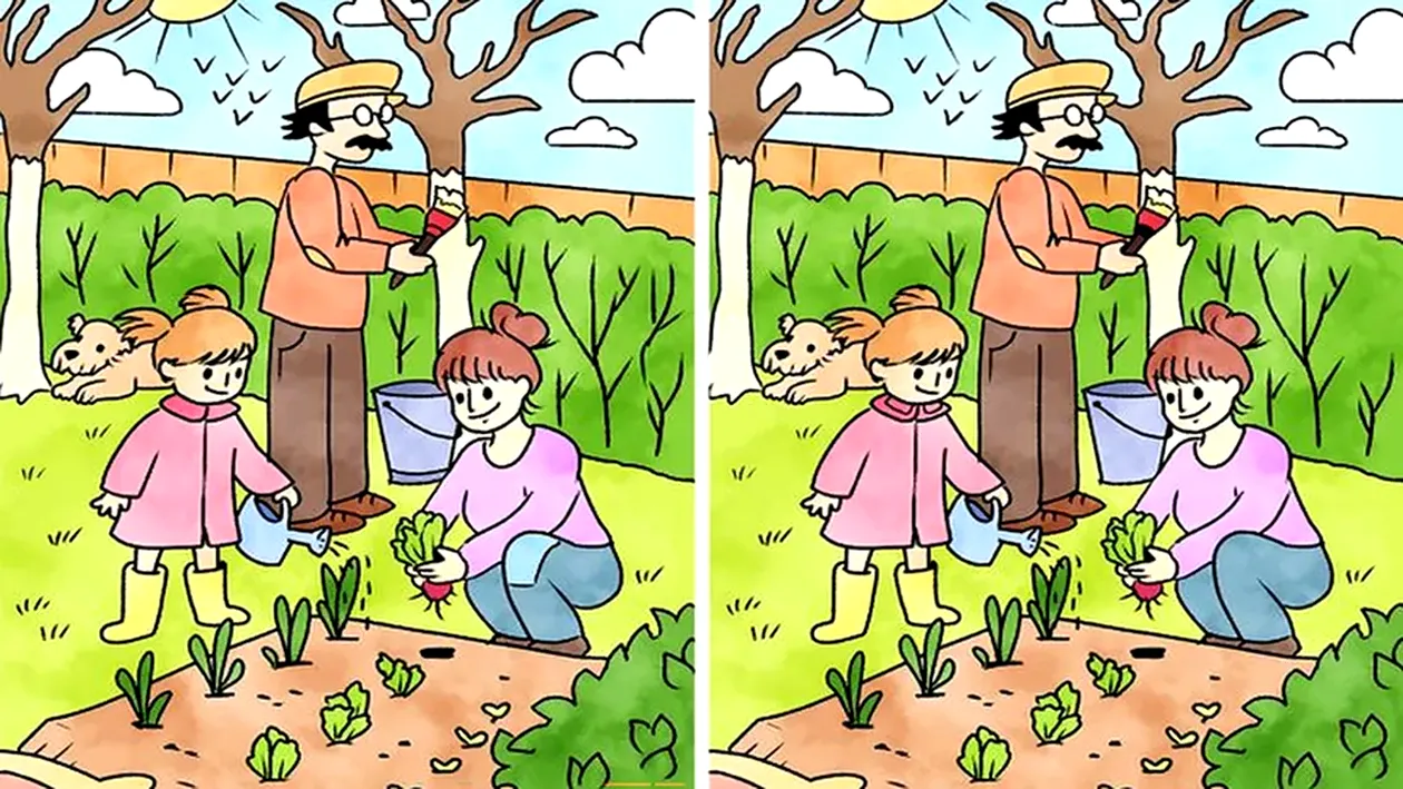 GĂSEȘTE CELE 5 DIFERENȚE DINTRE ACESTE 2 IMAGINI. GENIILE LE DESCOPERĂ ÎN DOAR 30 DE SECUNDE!